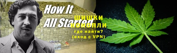 гидра Белоозёрский