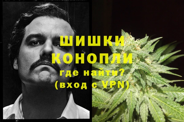 гидра Белоозёрский