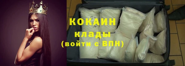 гашик Белокуриха