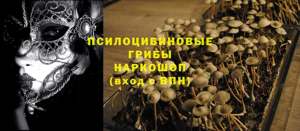 гашик Белокуриха