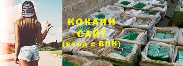 гашик Белокуриха