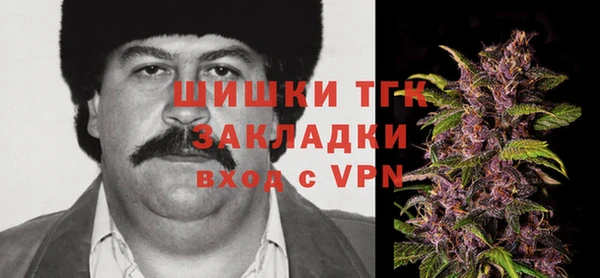 гидра Белоозёрский