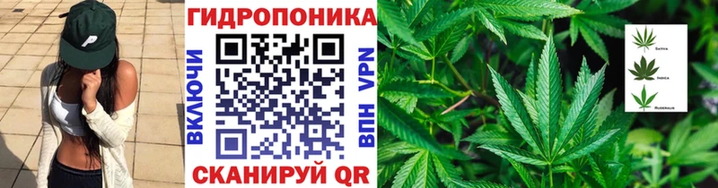 Бошки Шишки THC 21% Козельск